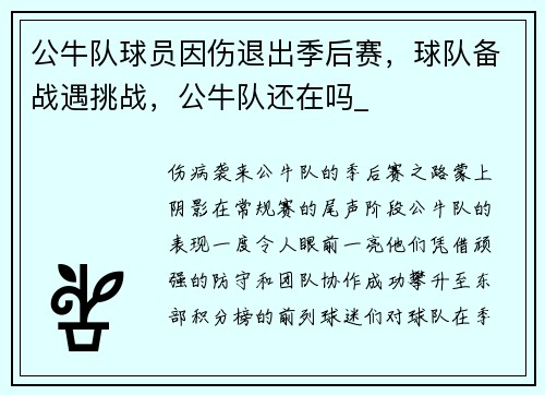 公牛队球员因伤退出季后赛，球队备战遇挑战，公牛队还在吗_